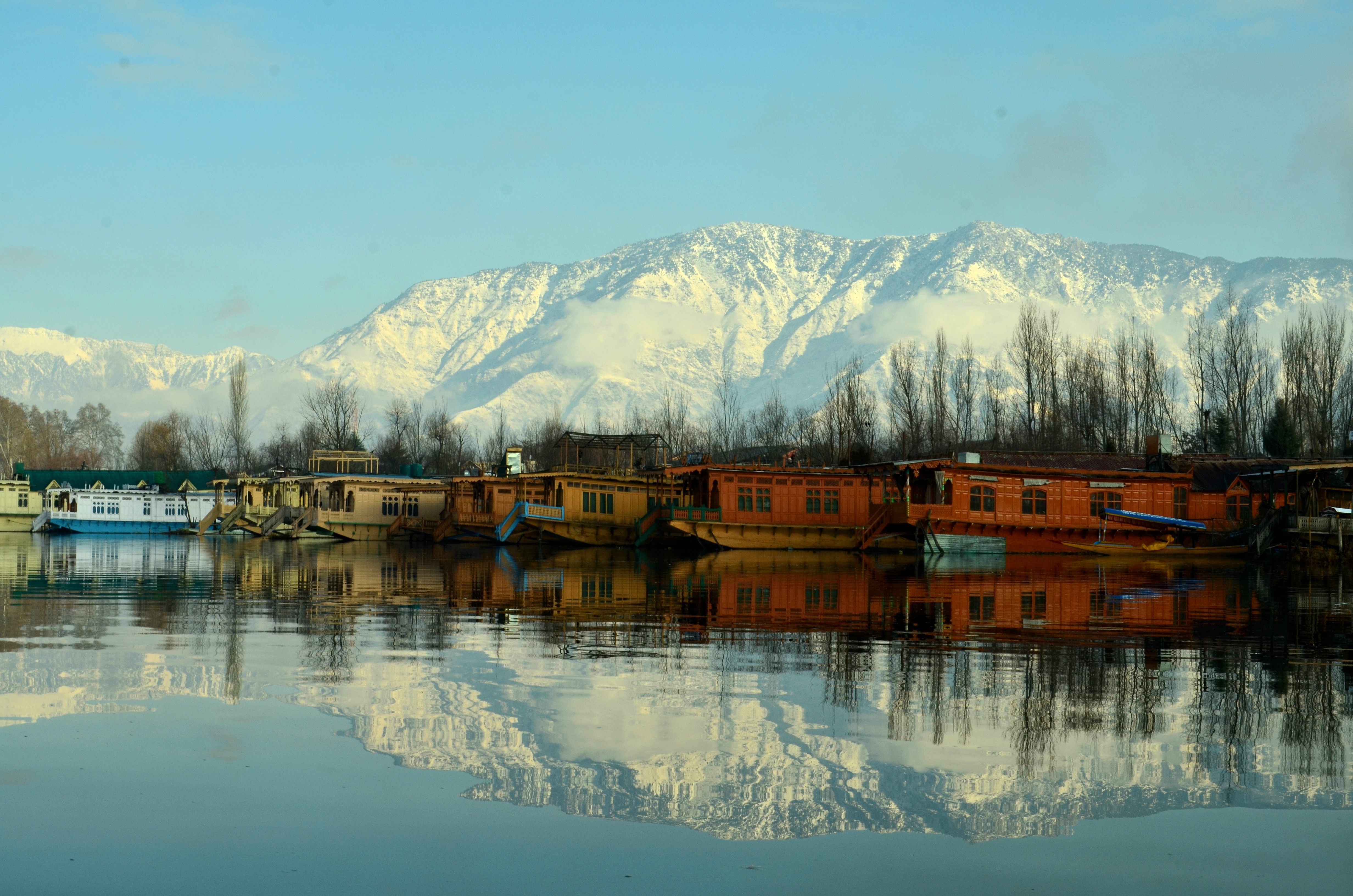 images/Dallake5.jpg