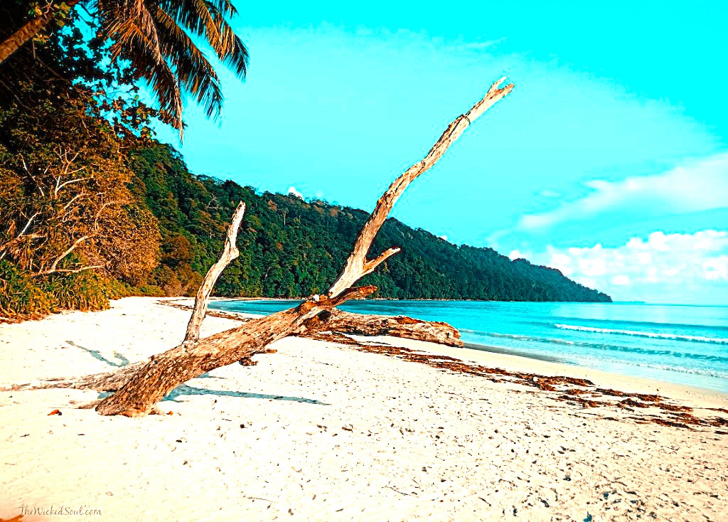images/Havelock-Island-1.jpg