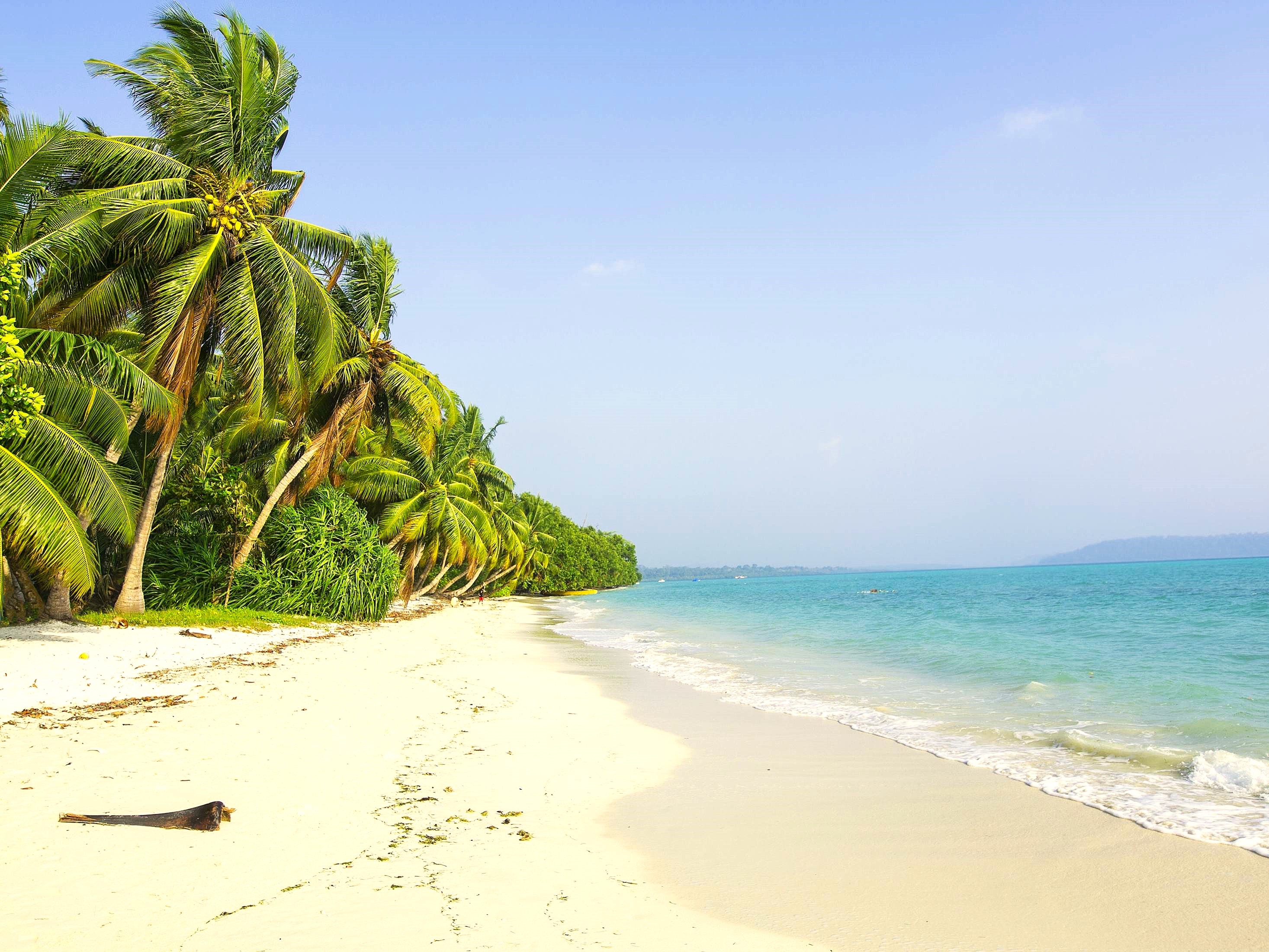 images/Havelock-Island-3.jpg