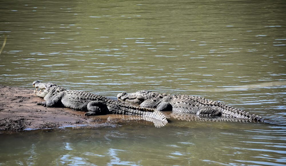 images/KaliRiver3.jpg