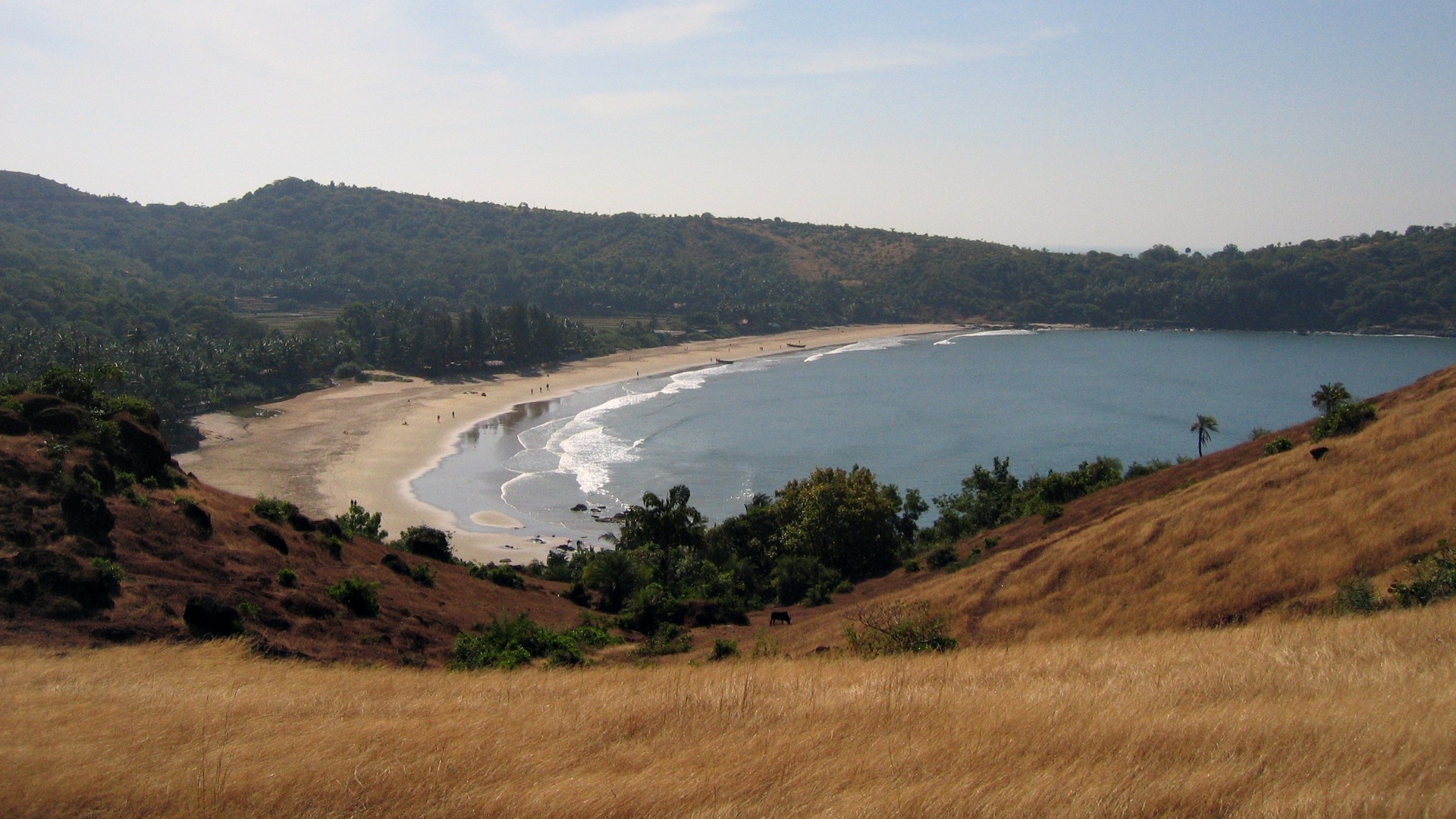 images/Kudle1.jpg