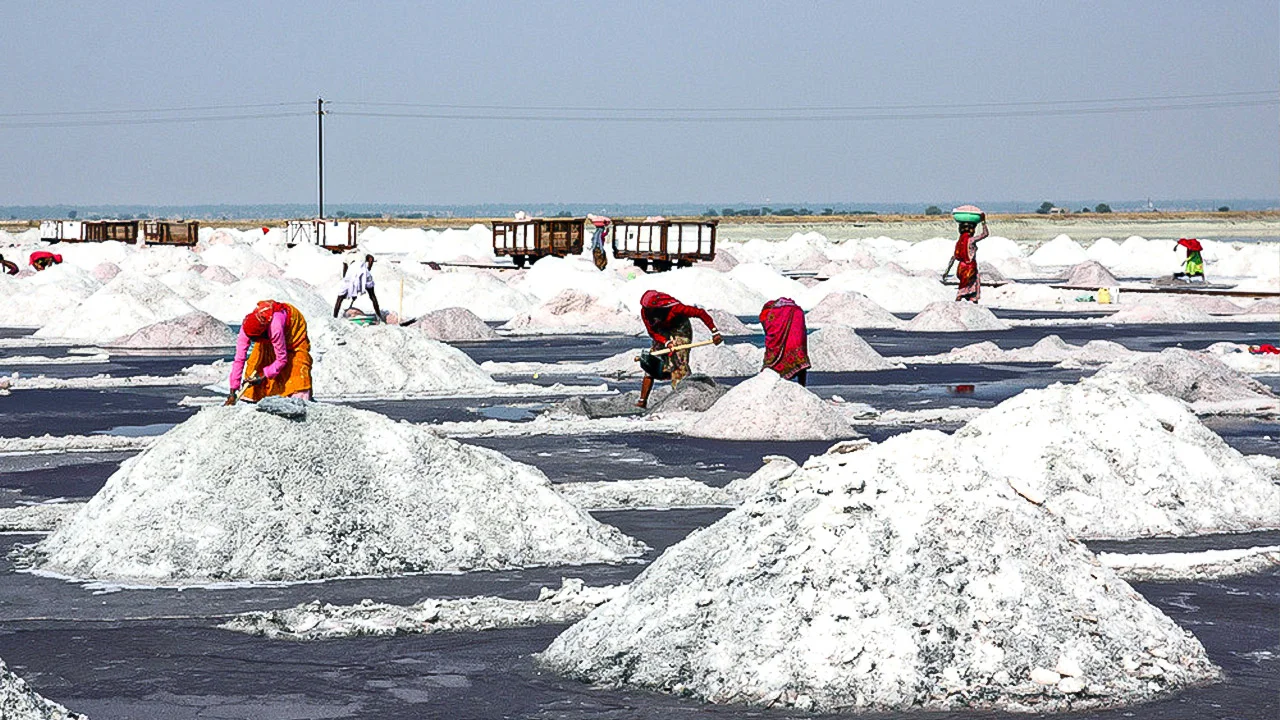 images/Sambhar-Lake.jpg