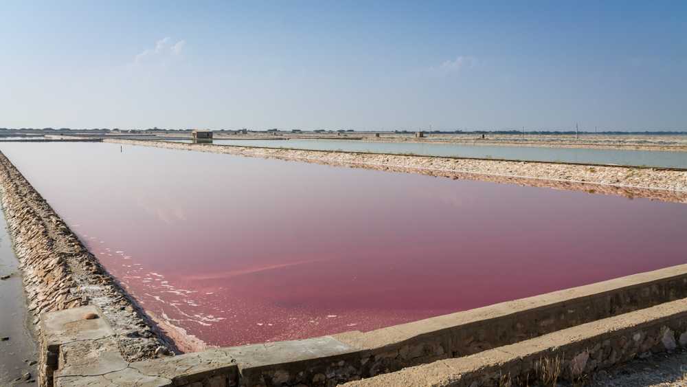 images/SambharLake2.jpg