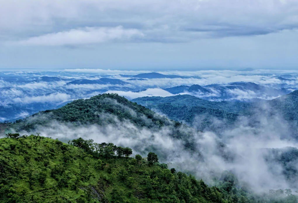  images/Wayanad-3.jpg