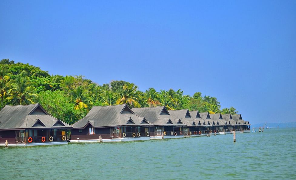  images/ashtamudi-lake-kerala-4.jpg