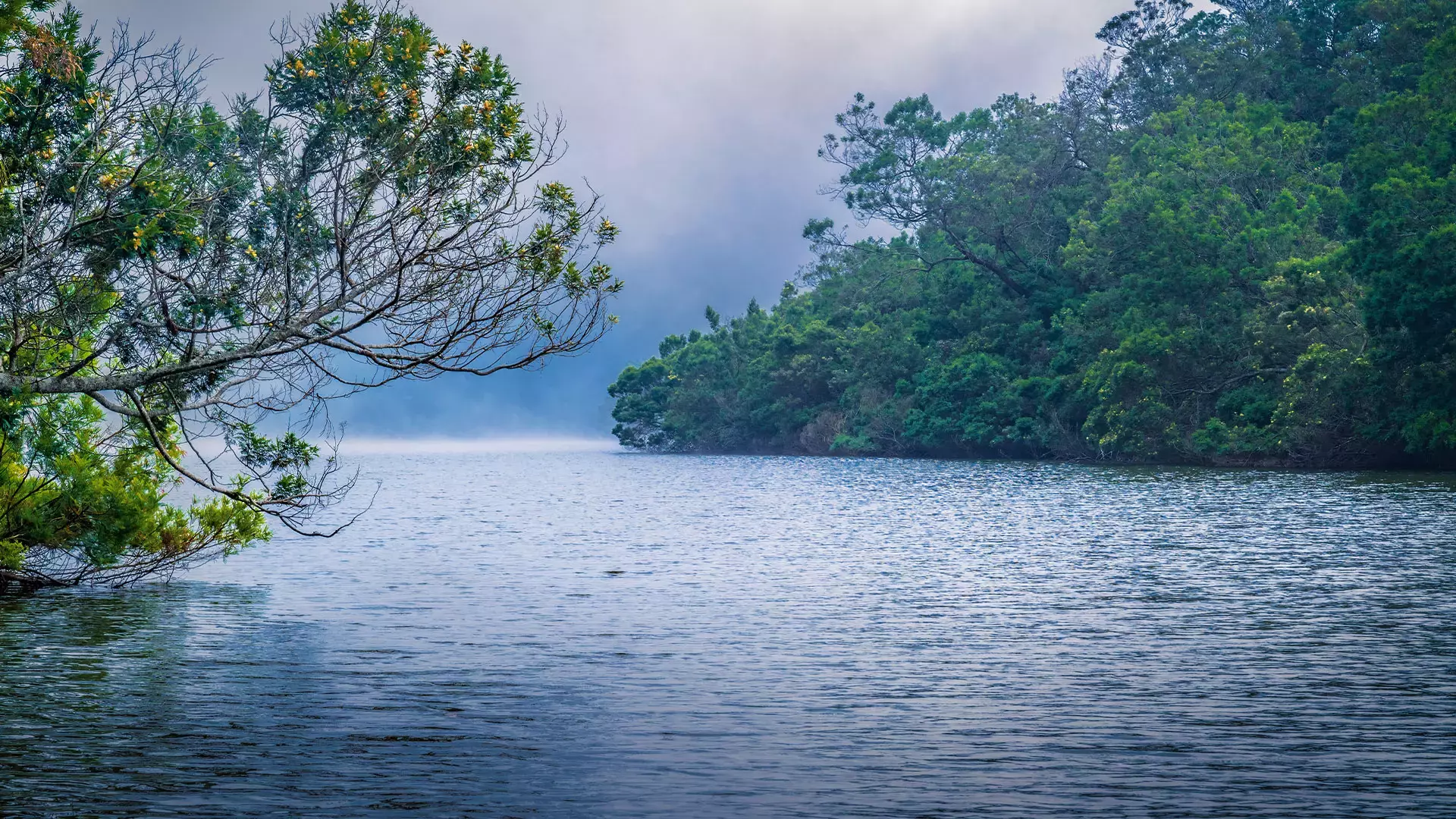  images/berijam-lake-tamilnadu-1.jpg