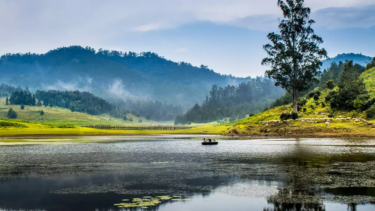 images/berijam-lake-tamilnadu-3.jpg