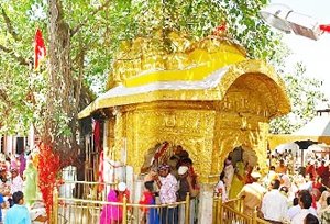  images/chintpurni4.jpg