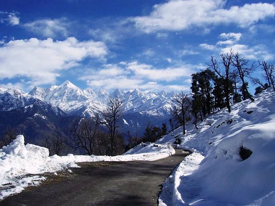 images/chopta3.jpg