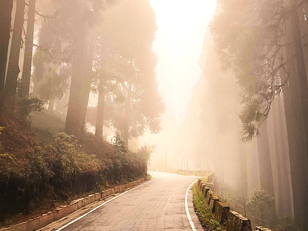 images/darjeeling5.jpg