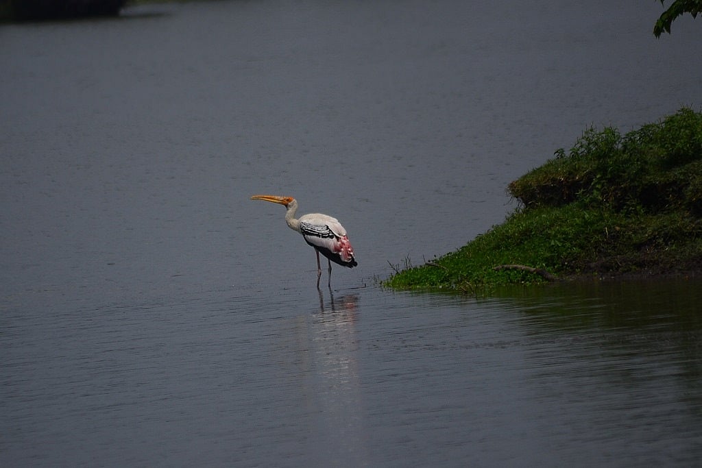 images/kolleru-lake-2.jpg