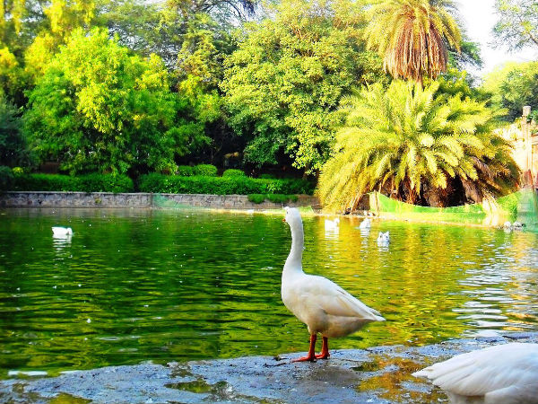 images/lodhi5.jpg