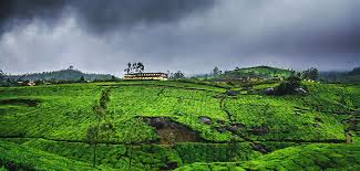 images/munnarmansoon1.jfif