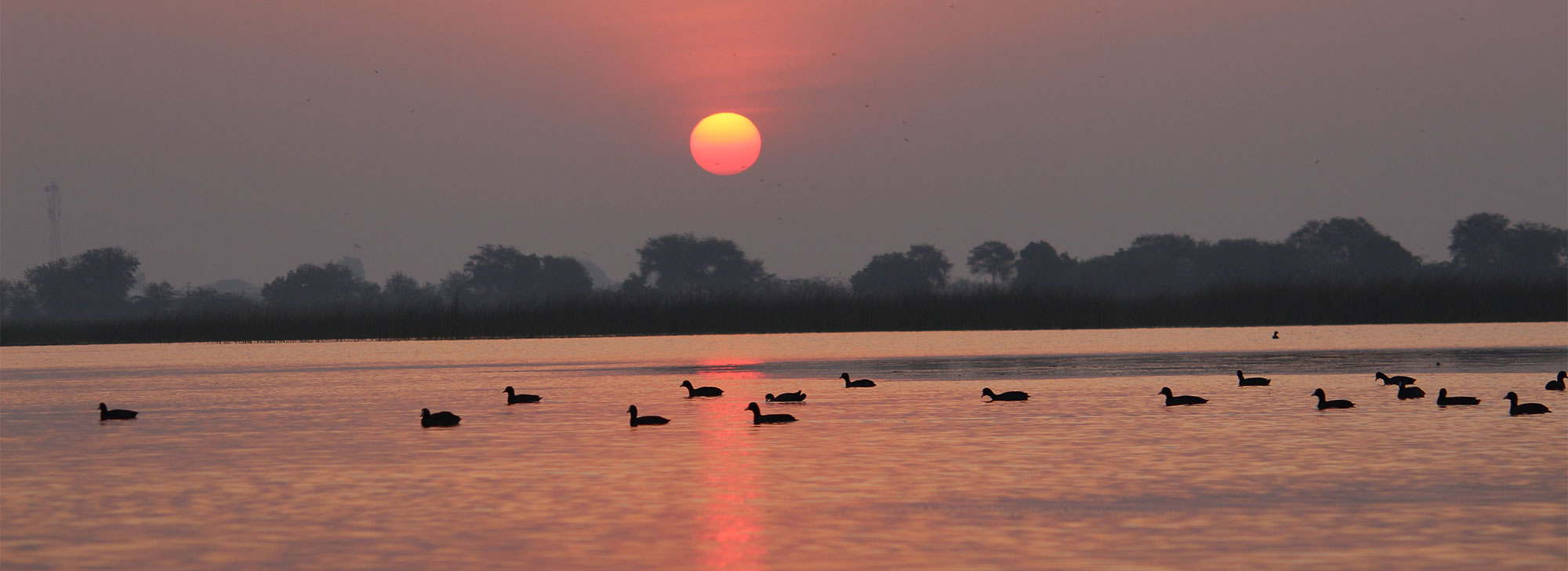 images/nalsarovar-lake-1.jpg