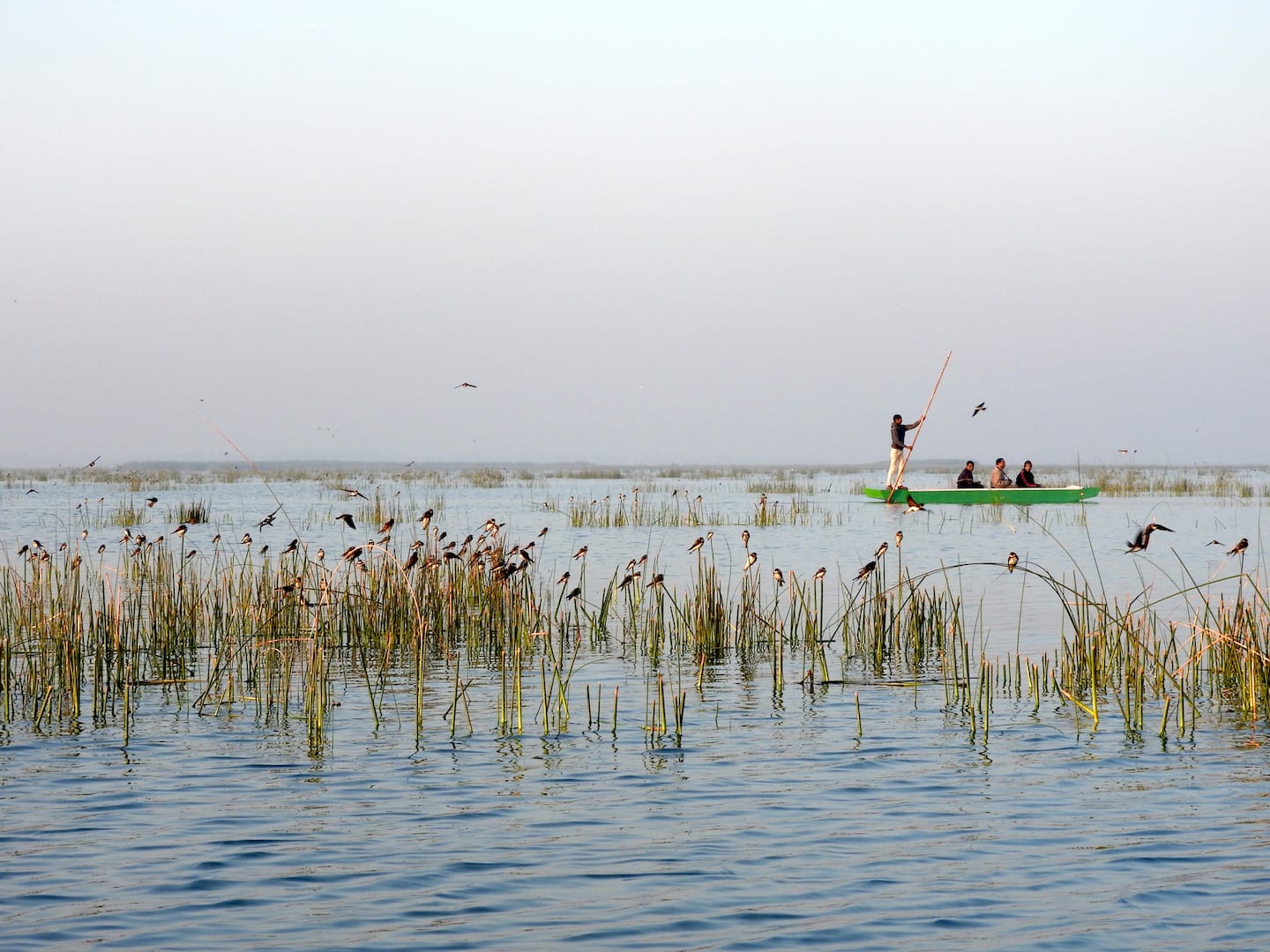 images/nalsarovar-lake-3.jpg