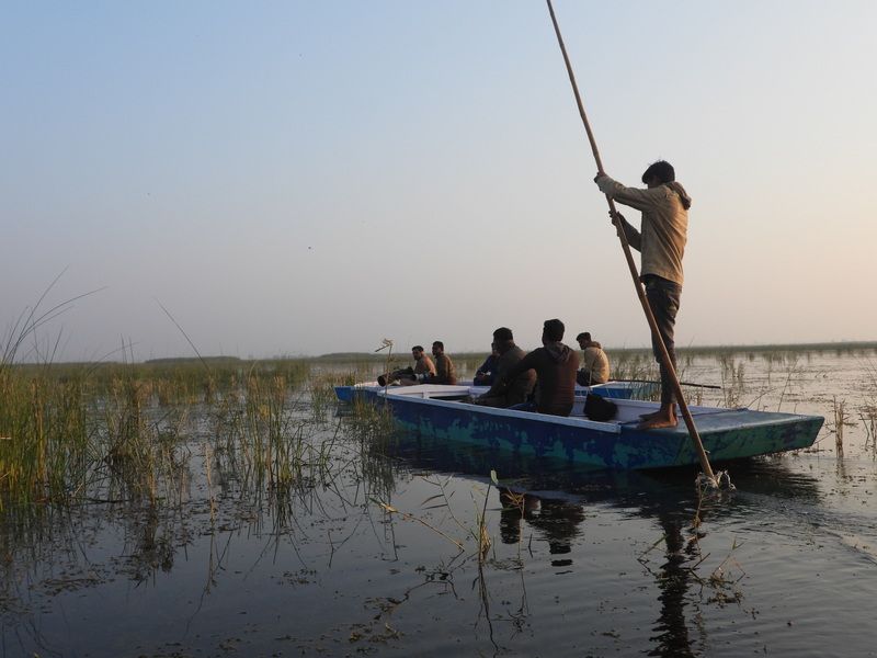  images/nalsarovar-lake-5.jpg