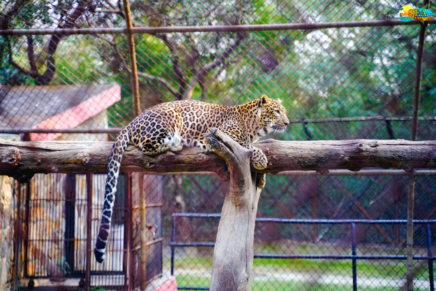 images/national-zoological-park-delhi-2.jpg