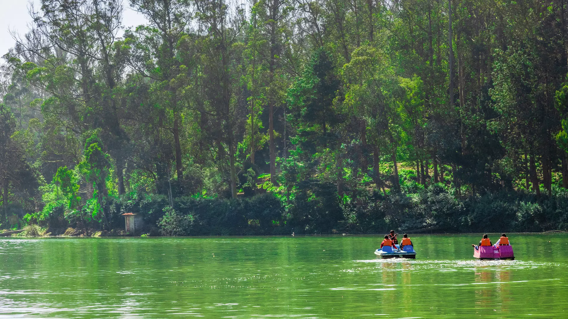  images/ooty-lake-tamilnadu-4.jpg