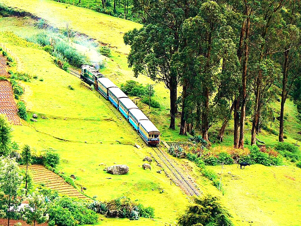 images/ooty4.jpg