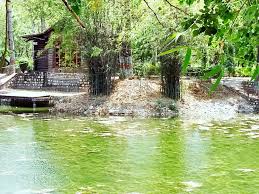 images/park5.jpg