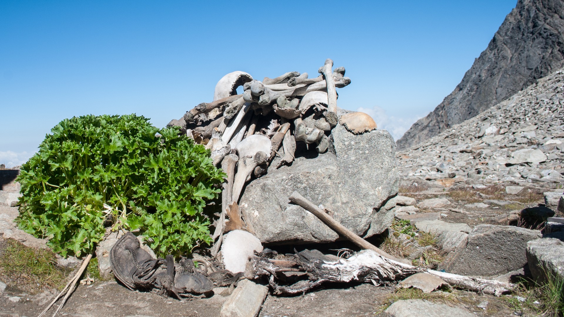 images/roopkund-lake-uttarakhand-1.jpg