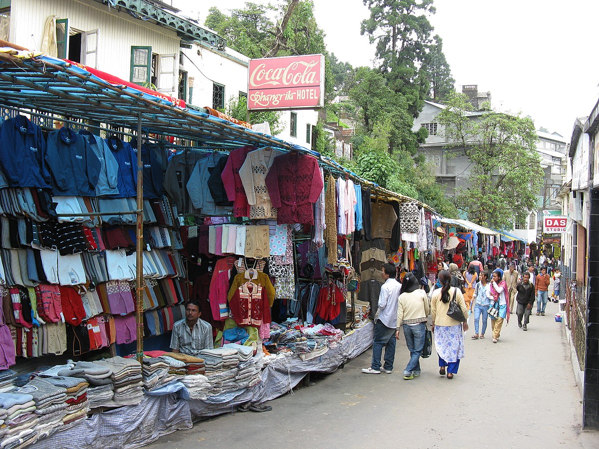 images/sarojni3.jpg