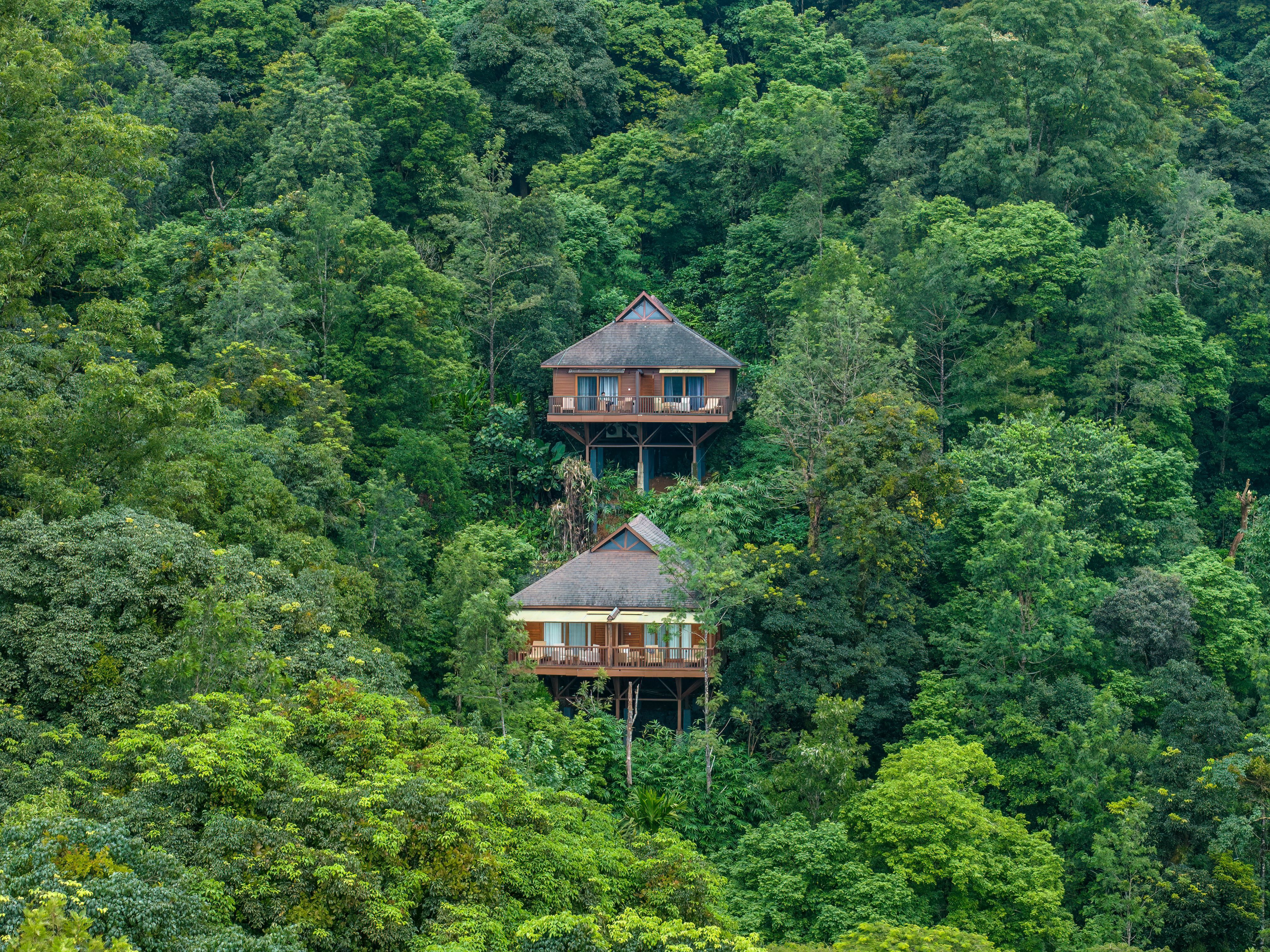 images/the-tamara-coorg-2.jpg
