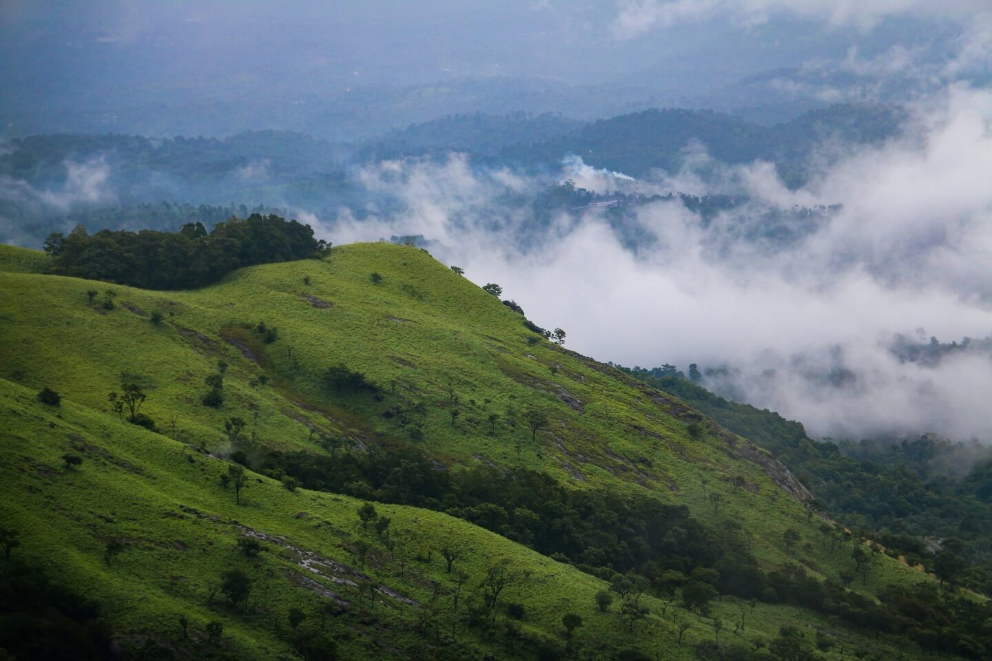 images/wayanad-4.jpg